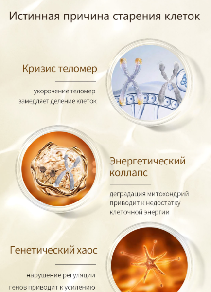 Истинная причина старения клеток. Кризис теломер, энергетический коллапс