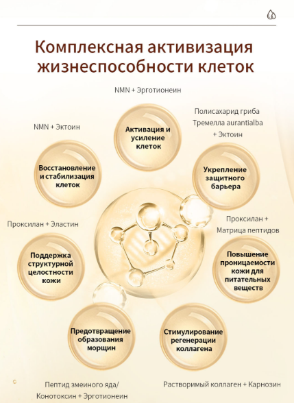 Комплексная активизация жизнеспособности клеток
