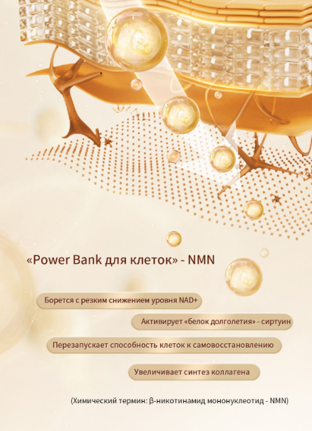 power bank для клеток - NMN